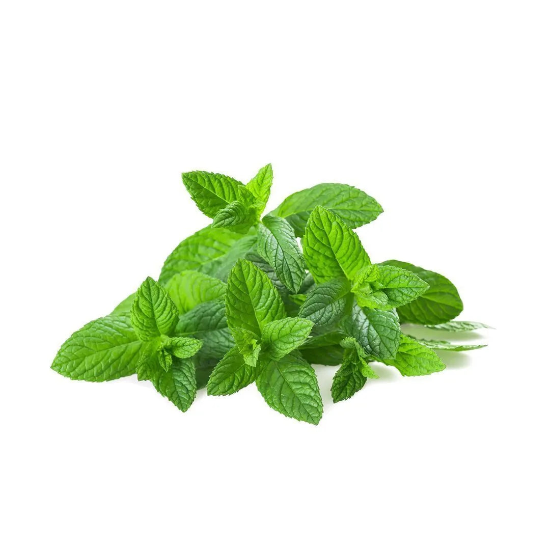 Hierbabuena 100g