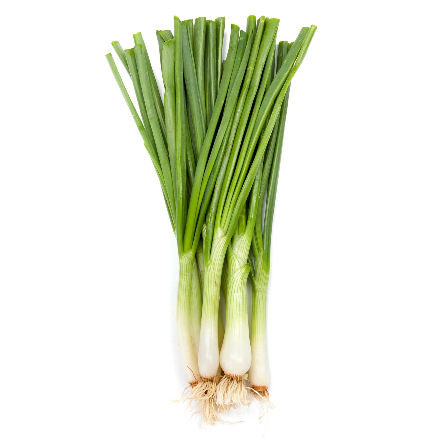 Cebollin