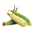 Elote Fresco