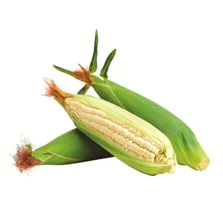 Elote Fresco