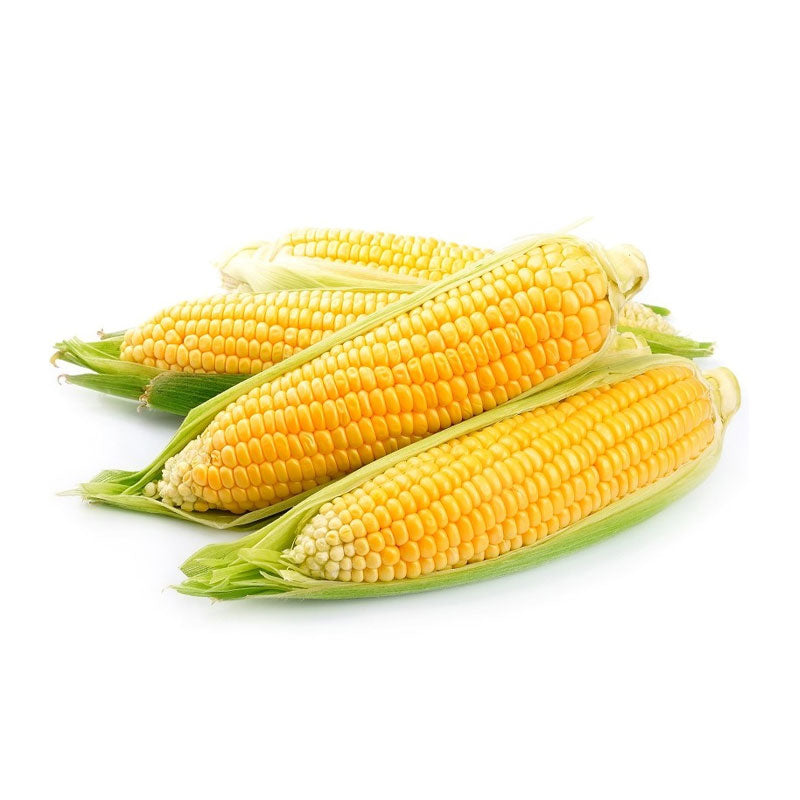 Elote Amarillo