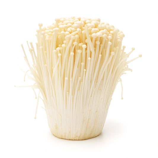 Hongo Enoki