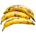 Platano Macho