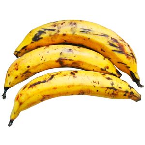 Platano Macho