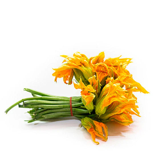 Flor de Calabaza
