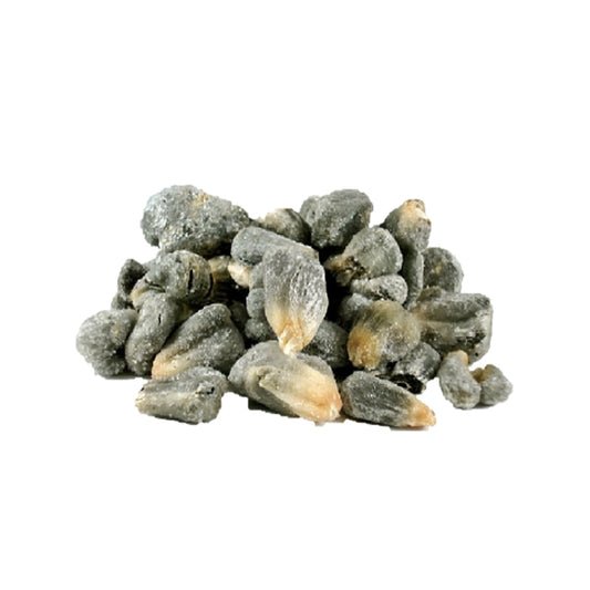 Huitlacoche