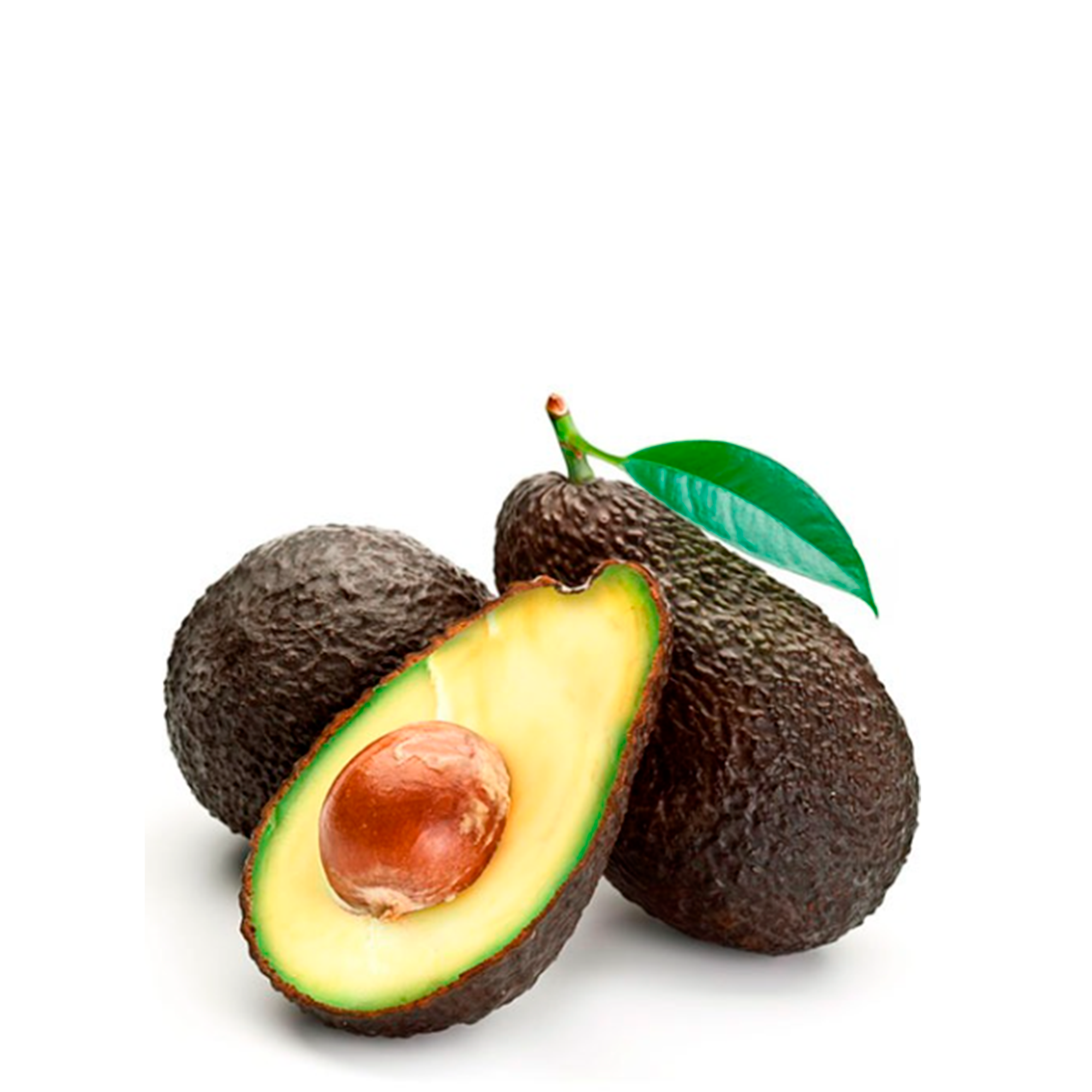 Aguacate Hass