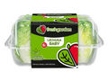 Corazones de lechuga Fresh Garden
