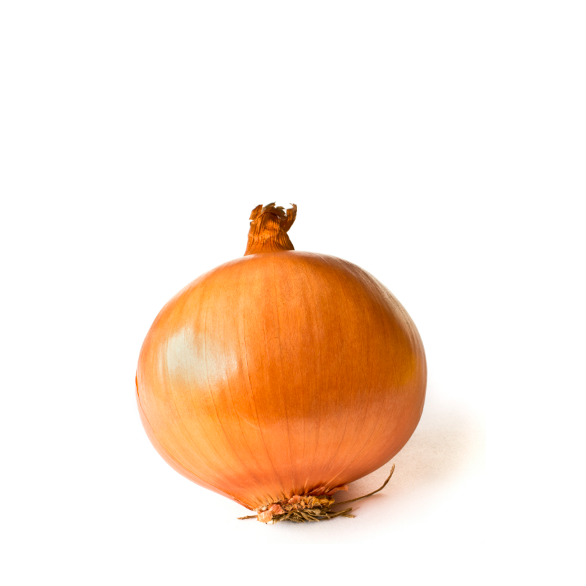 Cebolla Amarilla