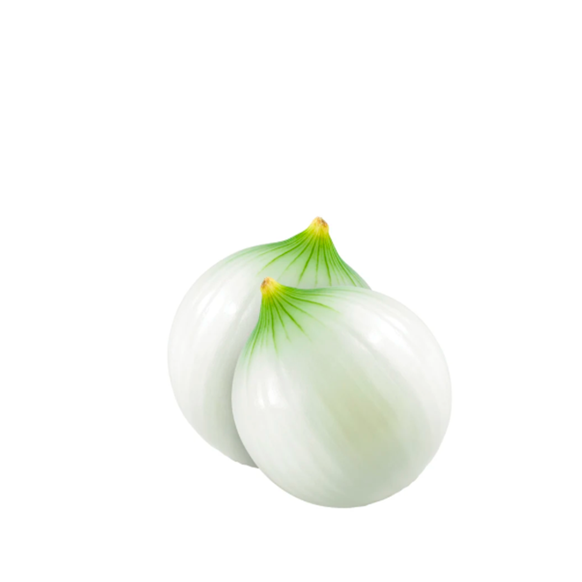 Cebolla Blanca