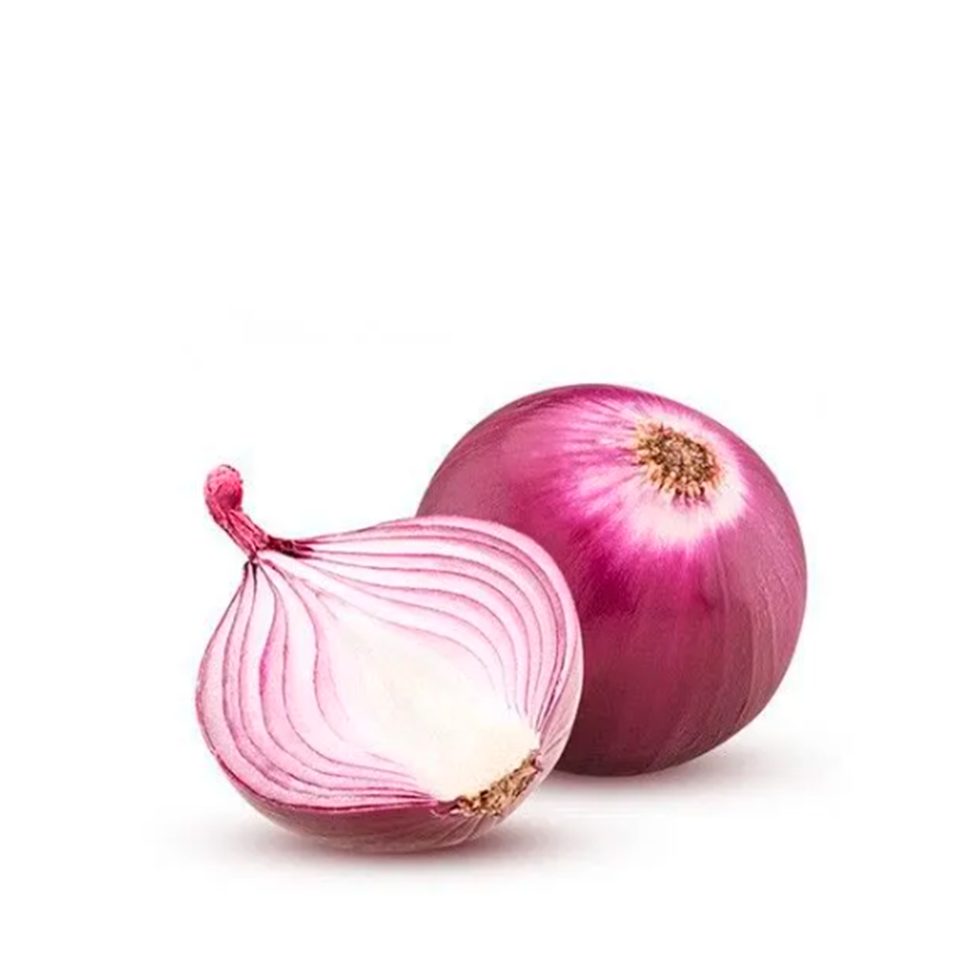 Cebolla Morada