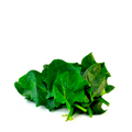 Espinaca Baby