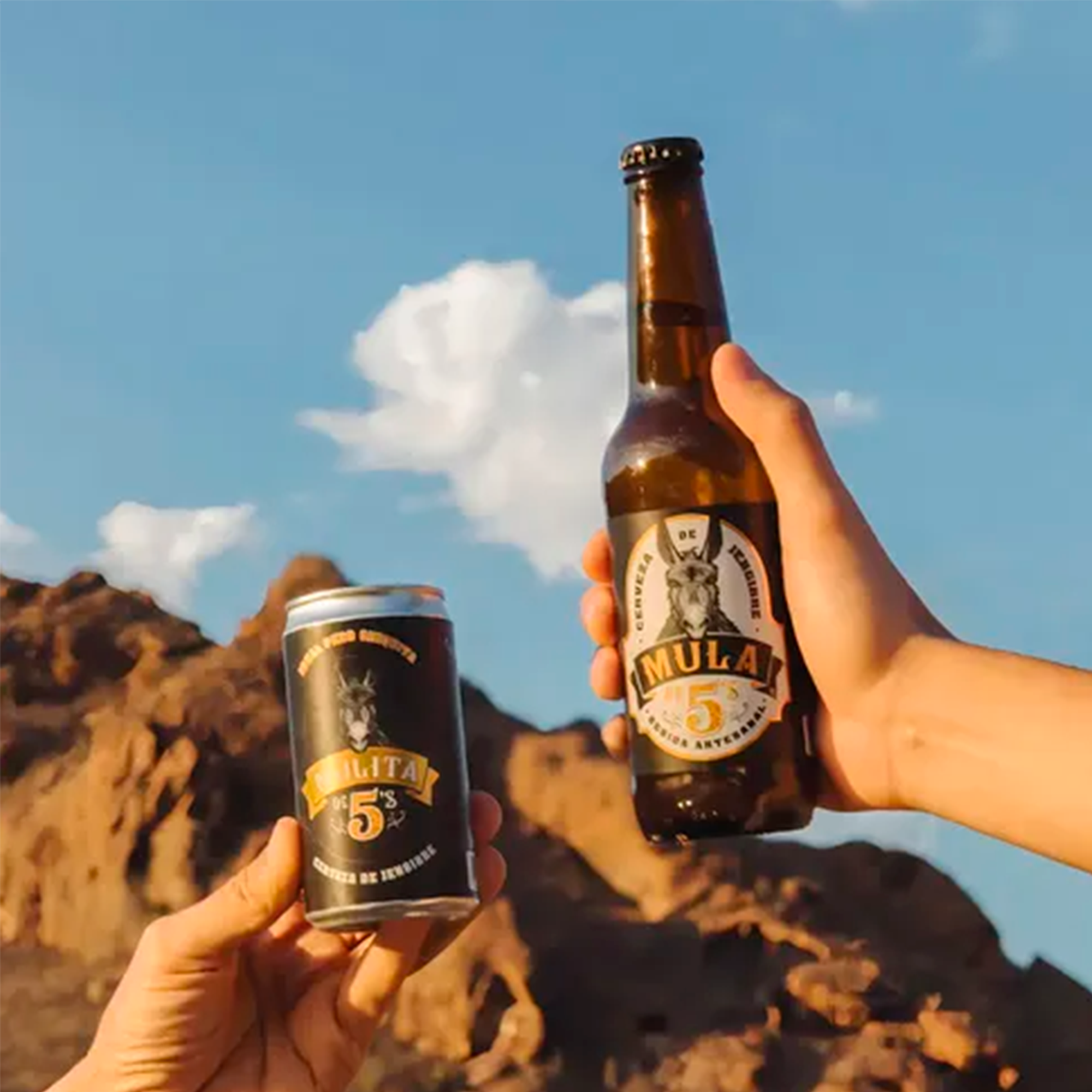 Cerveza de Jengibre Mula de 5 355 ml