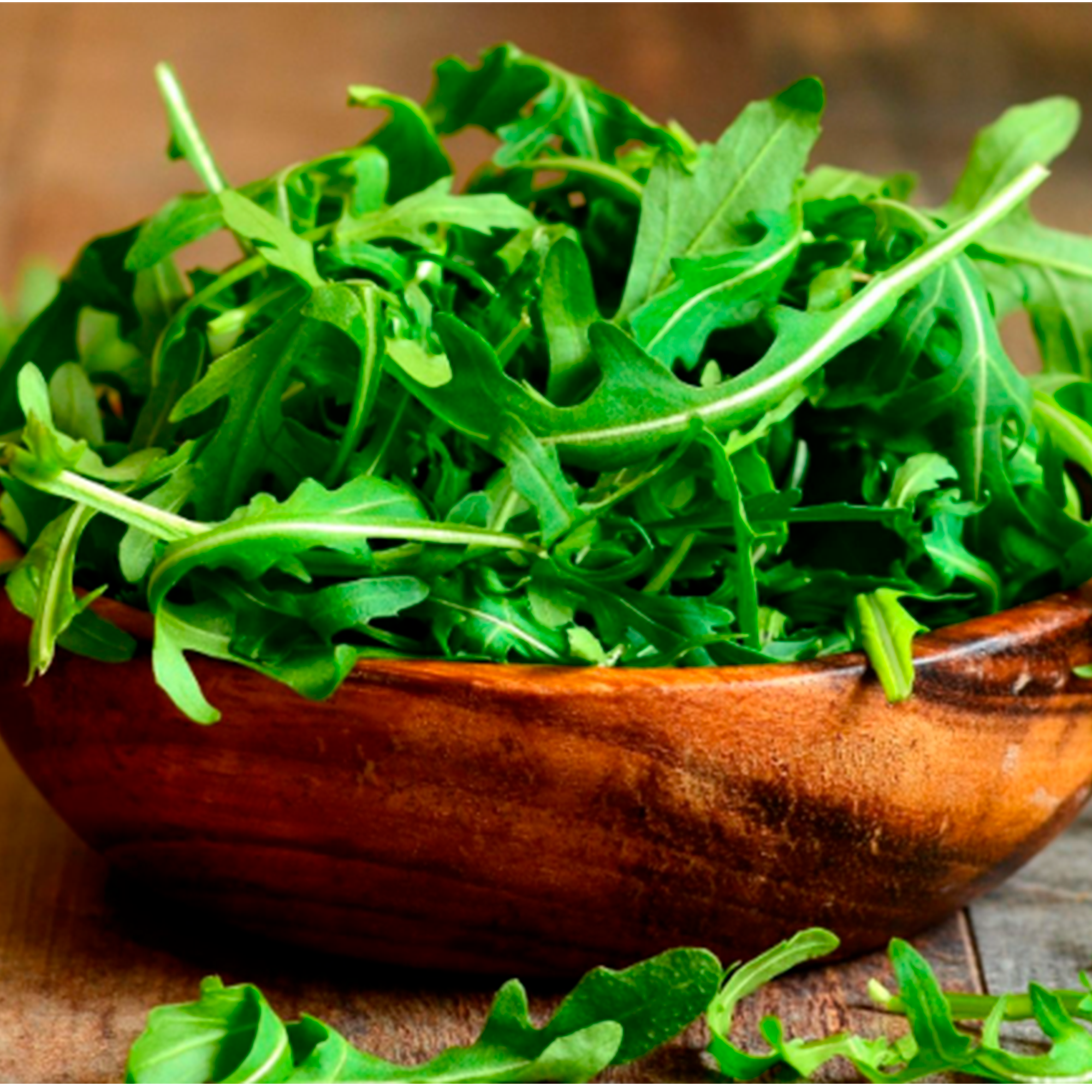 Arugula Baby