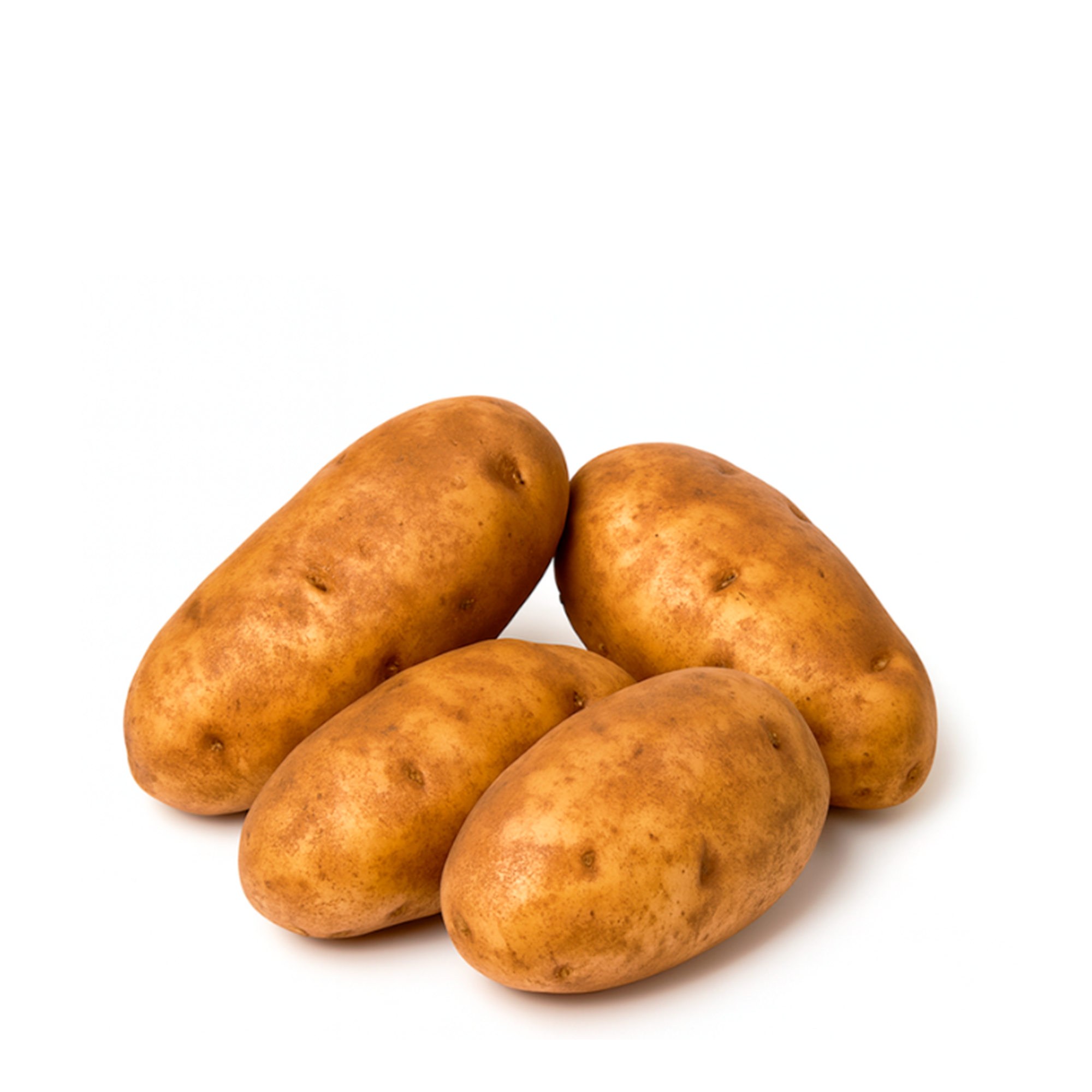 Papa Russet