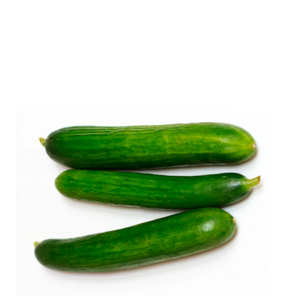 Pepino Persa