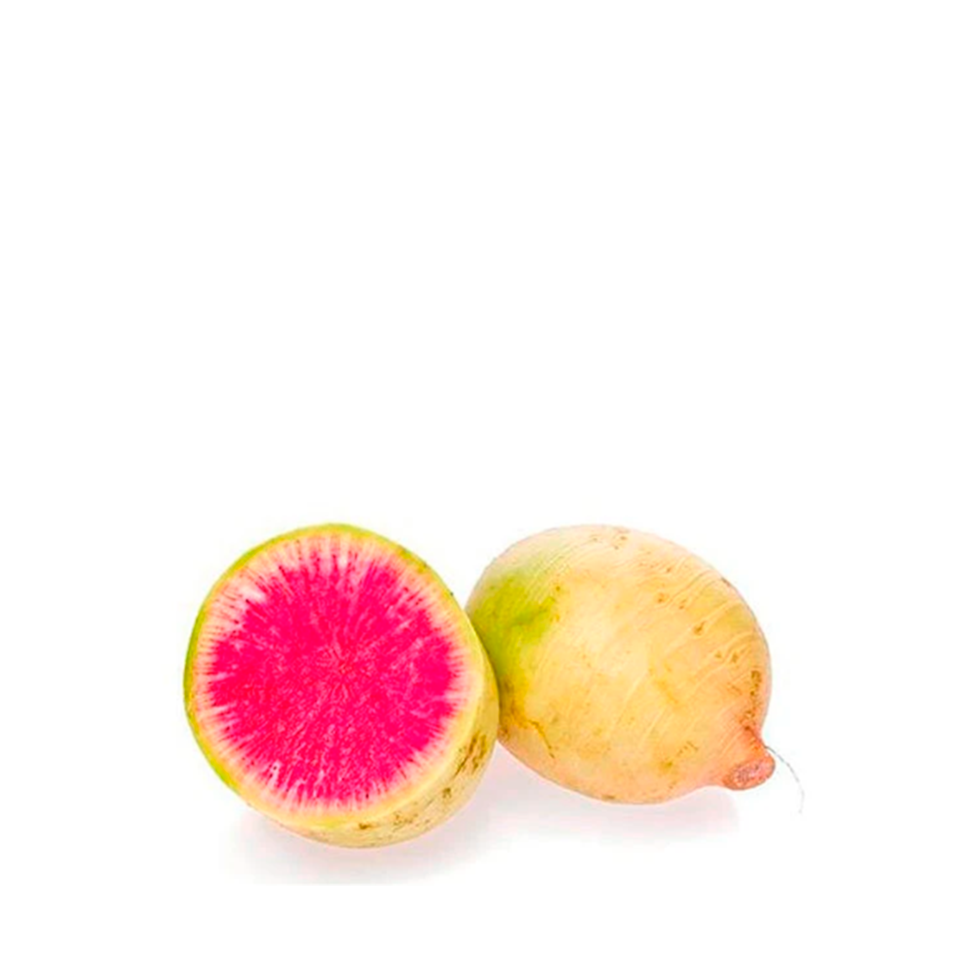 Rabano Sandia