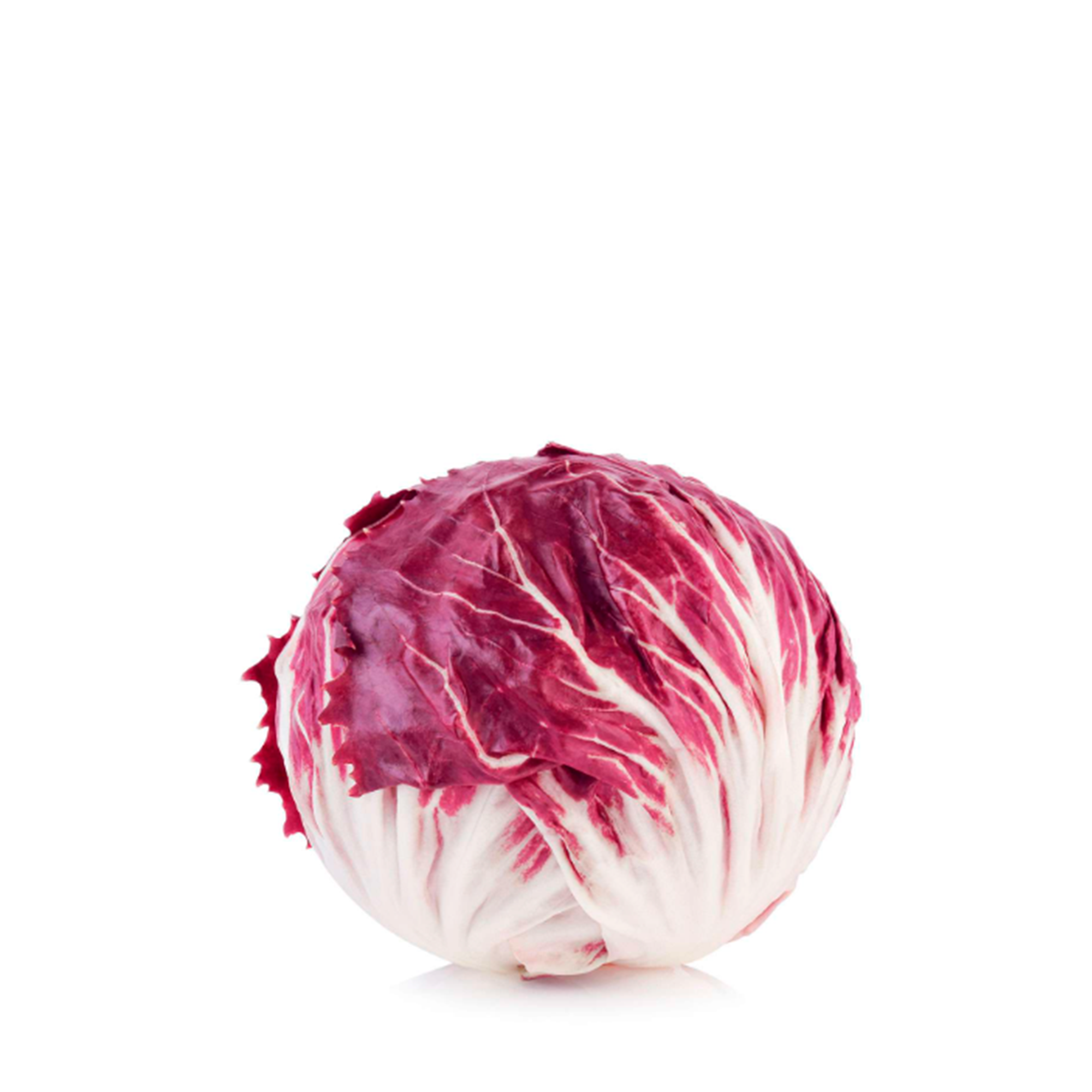 Radicchio