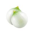 Cebolla blanca