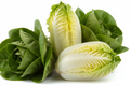 CORAZONES DE LECHUGA SIN FONDO