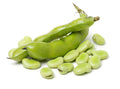 Haba Verde