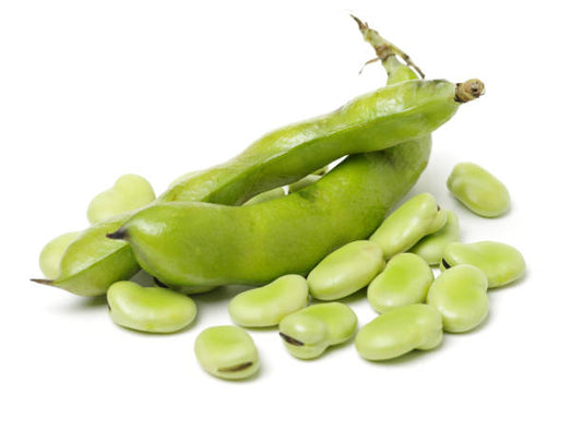Haba Verde