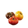 Jitomate Heirloom
