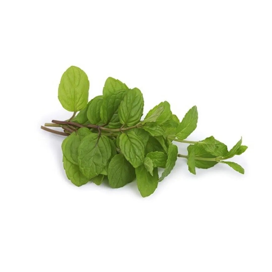 Mejorana