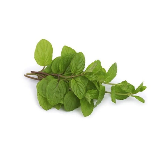 Mejorana